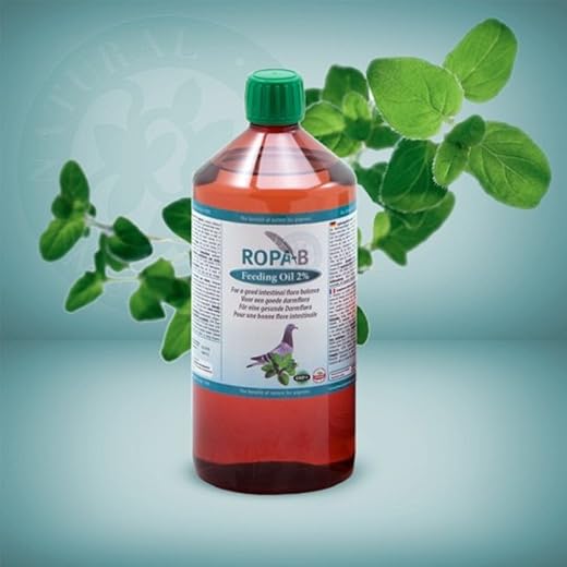 Oregano Öl für Geflügel 1l