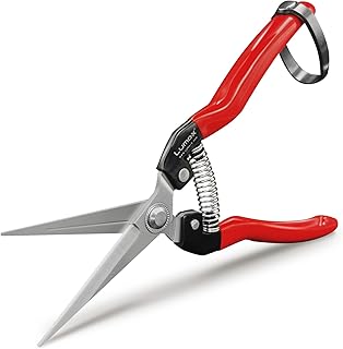 Sponsored Ad - Lumo-X Pruning Shears with Straight Stainless Steel Long Blades, Comfortable Grip and Security Latch (1Pack...