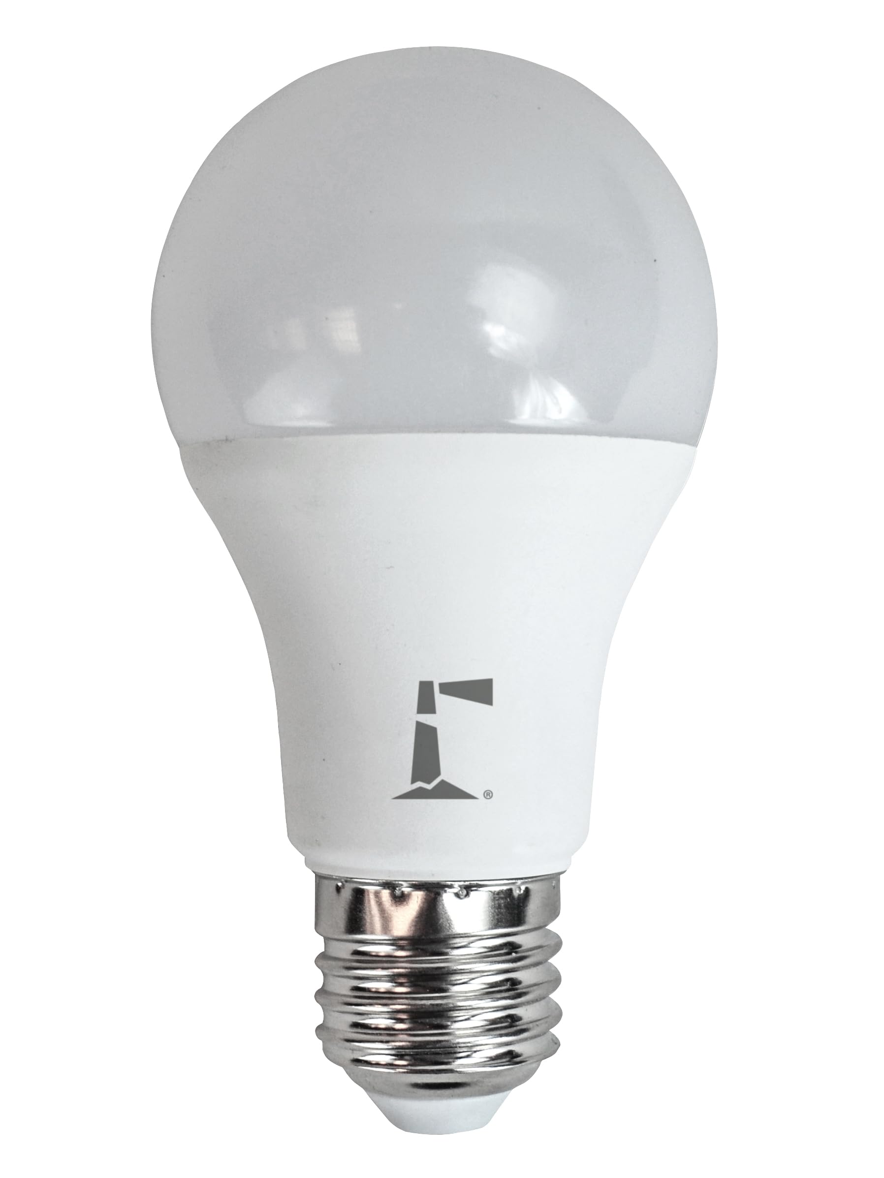 Lighthouse A60 LED Light Bulb - Large - White