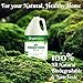 SimpleNature 6% Food Grade Hydrogen Peroxide Solution - 1 Gallon - Natural Multipurpose Cleaner - Made in USA - Ideal for Commercial, Residential, Kitchen, Bath, Laundry, and More - Ecofriendly