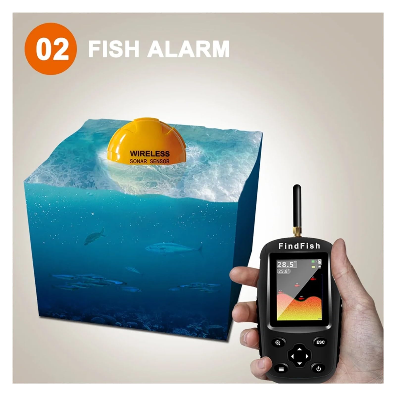 Sonar sans Fil Intelligent avec Menu Anglais et détecteur de Poissons Portable