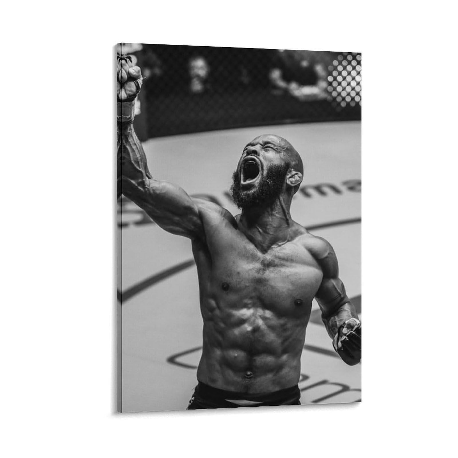 FCOIN Demetrious Johnson Canvas Poster Artworks Canvas Poster Wall Art Prints Home Modern Decor 20x30inch(50x75cm)