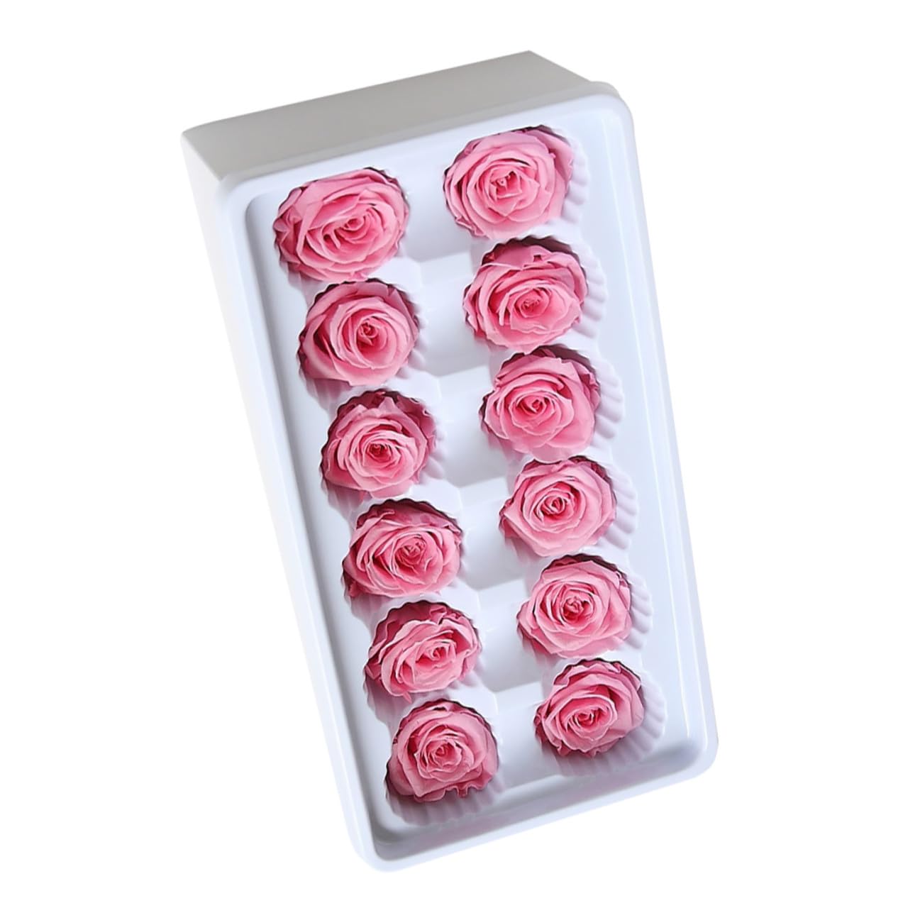 Fleur fraîche préservée rose clair Veemoon 12 pièces 3-4 cm pour bouquet DIY