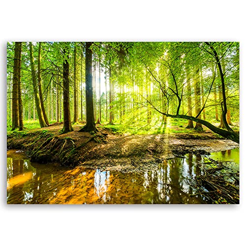 Feeby Schilderij op Vlies Canvas XXL 120x80 cm Bos Bomen Natuur Muurschildering Kunstfoto'S Slaapkamer Deco Woonkamer Stroom Wortels Zonnestralen Groen - Afbeelding 4