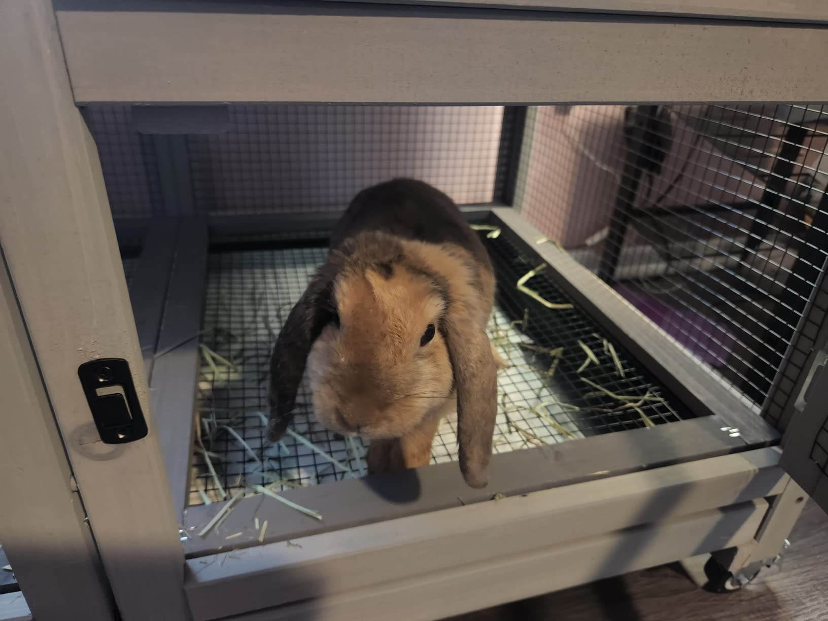 32/mo Finance Aivituvin Rabbit Hutch Bunny Hutch Large Rabbit Cage, Indoor Bunny Cage Outdoor