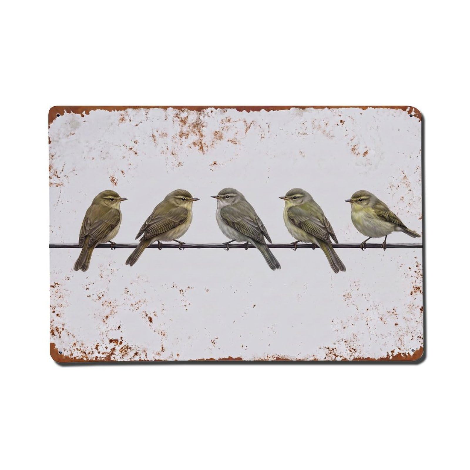 Vintage Retro Birds Chiffchaff Metal Tin Sign