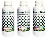 Nutriplant GREEN BASIC, Concime fertilizzante NPK, contenente Azoto, Fosforo, Potassio e Ferro. Concime liquido minerale per giardino,fiori,tappeti erbosi,cespugli,ortaggi e piante da frutto,1Lt(3)