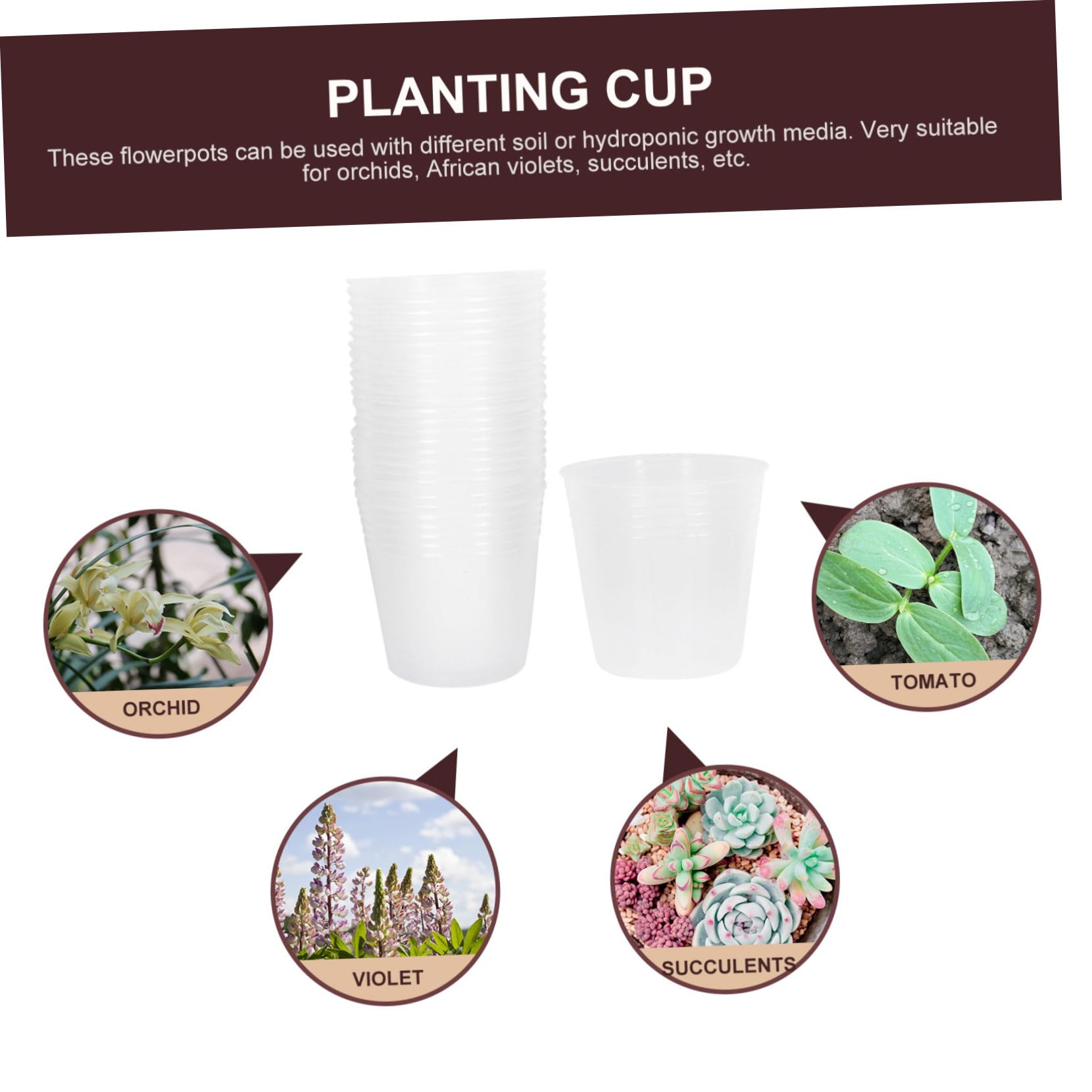 108pièces Pots De Plantations Transparente Contenants De Utiles pour Orchidées Et Succulentes Poches De Jardinage