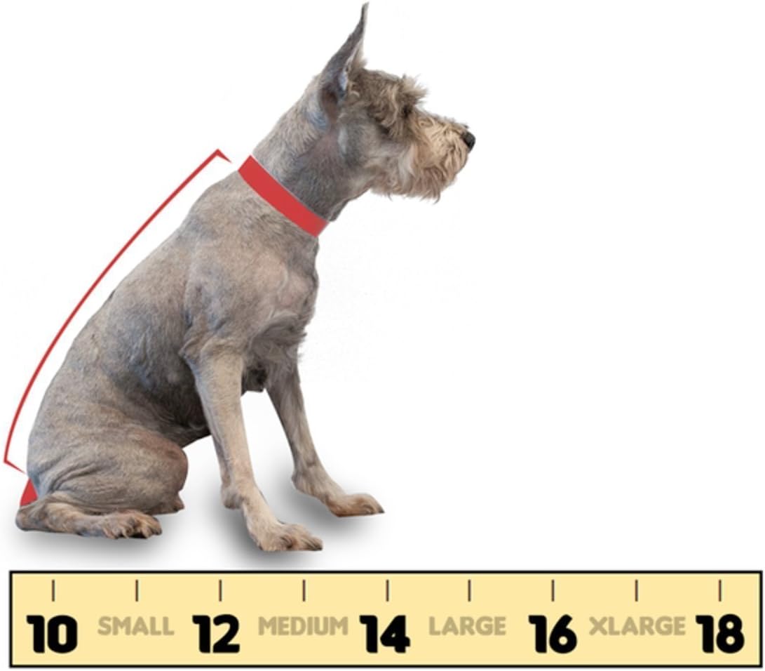 ruffit dog carrier amazon