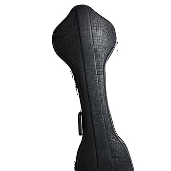 希少 馬頭琴 ケース付き Amazon | 馬頭琴ボックス 楽器収納 耐衝撃 楽器アクセサリー