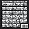Grayscale Landscapes Coloring Book For Adults: 40 Beautiful Landscape Designs in Grayscale on Black Backed Pages (Grayscale Coloring Books For Adults) #1
