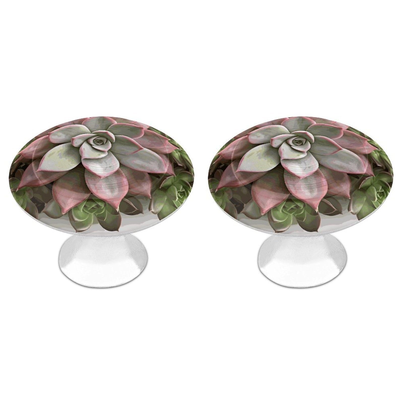 FekiLoot Succulent Botanical Cabinet Knob 2 Pack Mini Round Drawer Pulls Stainless Steel Dresser Drawer Knobs Kitchen Drawer Hardware for Bathroom Dresser Closet Door Knobs