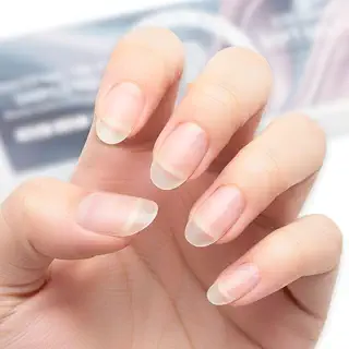 COLORBIRD ネイルチップ Silvella ショート 0.1mm超薄 クリア サンディング加工済み つけ爪 (オーバルS, 300pcs) | 根元約0.1mmの超薄設計で、自爪のように自然になじむクリアネイルチップ。やわらかなソフトジェル素材でフィットしやすく、サンディング加工済みで制作もスムーズ。日常に取り入れやすいショートオーバル。オーバルS・15サイズ・300枚入り。