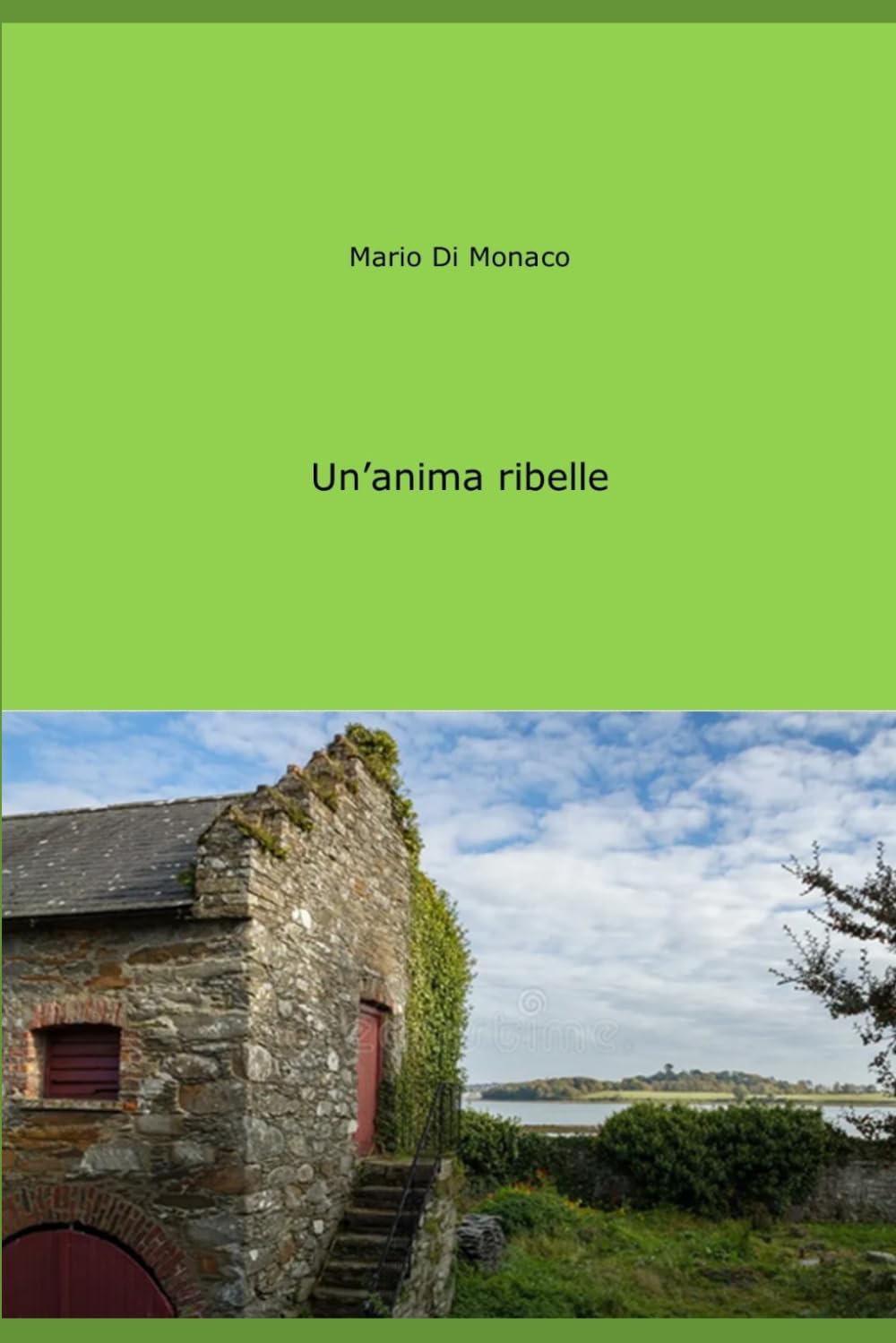 Un'anima ribelle