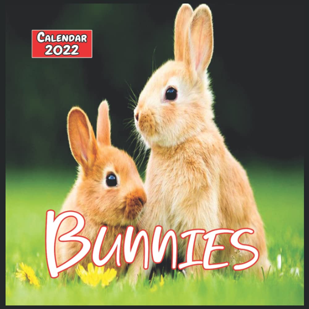 Buy Bunnies 2022 Cute And Funny Rabbit 20222023, Monthly Square 2022