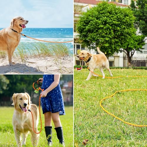 Schleppleine für Hunde, Hundeleine 5M Lang Starke Hundeleine Große Hunde Schleppleine Hund mit Gepolsterter Griff Abschließbarer Karabiner Trainingsleine für Kleine Mittlere und Große