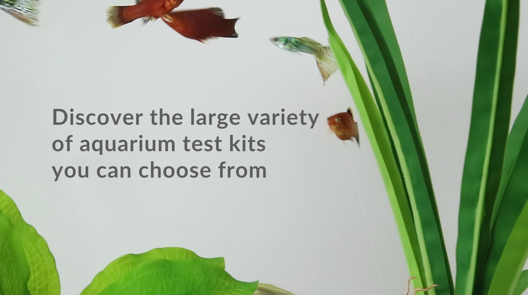 API REPLACEMENT PLASTIC TEST TUBES WITH CAPS For Any Aquarium Test Kit Including API Freshwater Master Test Kit 24-Count Box - image 8