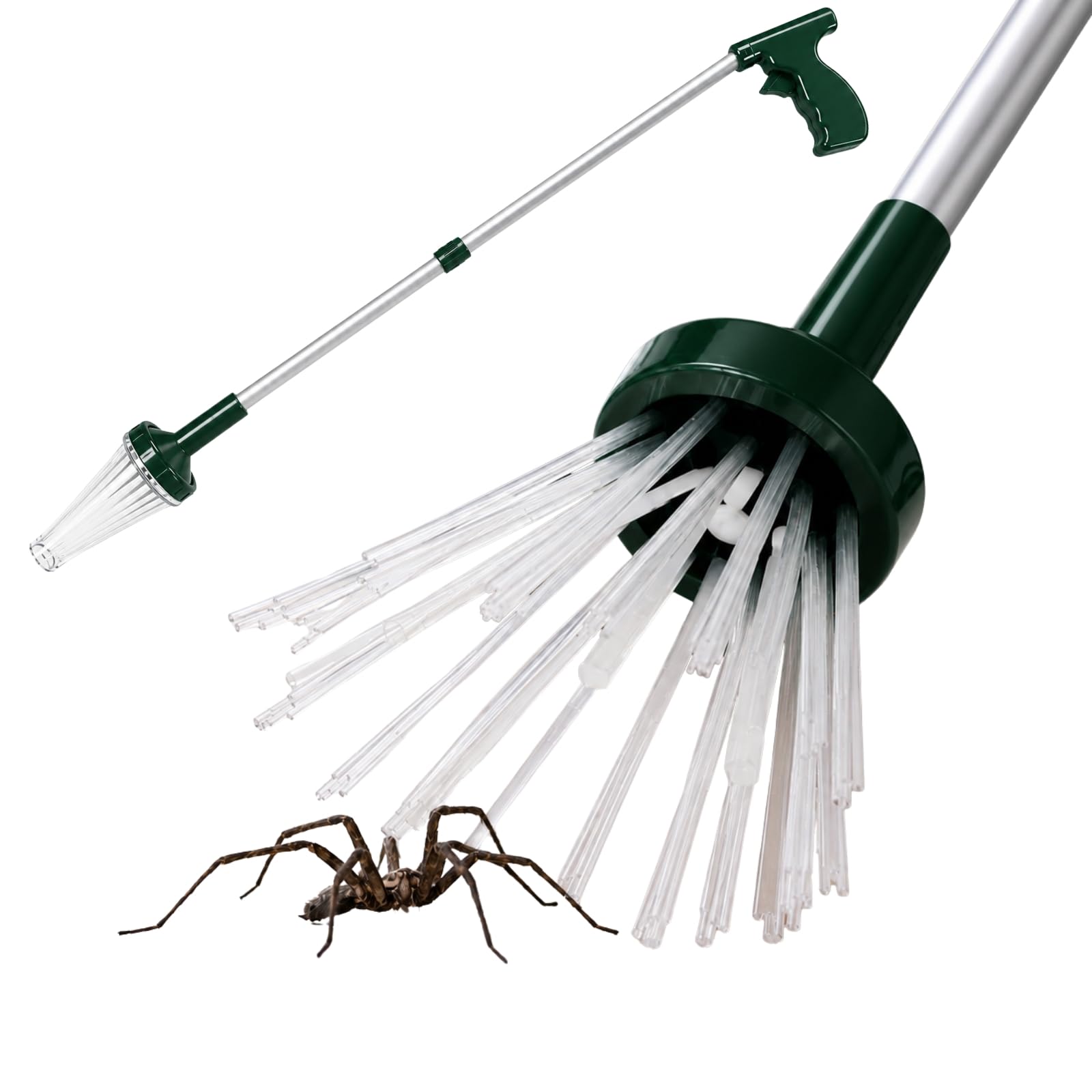 Spider Catcher Humane Long Reach 81cm – Foldable Spider & Insect Catcher with Soft Bristles for Safe Spider Removal, Bug Catcher Tool for Spiders, Moths, Flies & Wasps, Indoor & Outdoor Use
