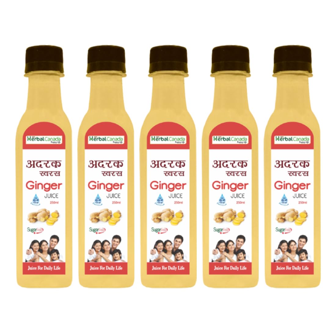 HERBAL CANADA Harc Adrak Juice|Ginger Swaras|Digestion| Natural Juice(Sugar Free)-250Ml(Pack Of 5) (B09X6RHC9Q) Amazon Price History, Amazon Price Tracker