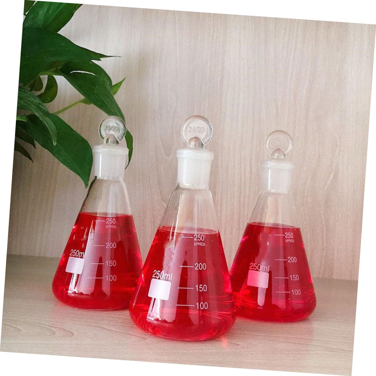 Gatuida 3 Piezas Matraz Erlenmeyer con Tapón de Vidrio Matraces Cónicos para Experimentos Escolares Herramientas para Experimentos Cristalería de Laboratorio Suministros