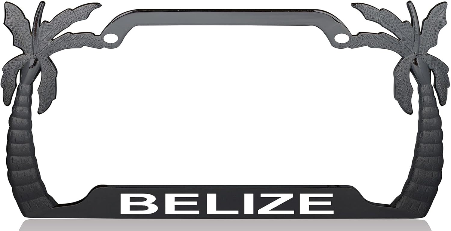 Belize Palm Tree Design Black Metal License Plate Auto Tag Frame, D47