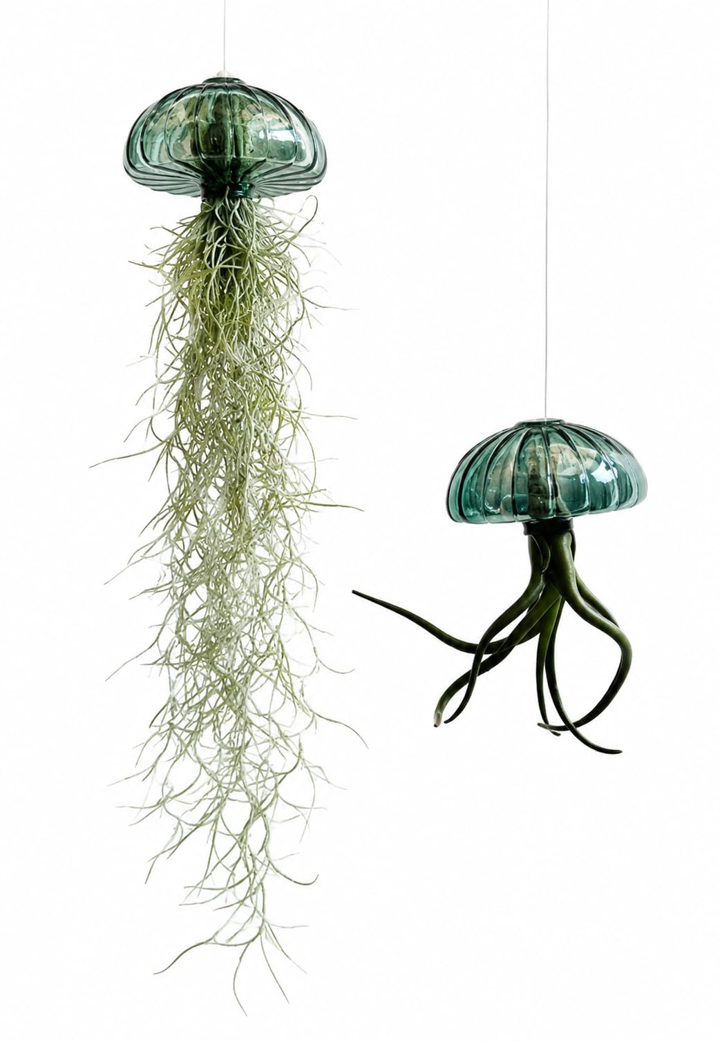 Jellyfish Pianta aerea XL – Riccio di mare in vetro verde smeraldo (ca. 13 cm) con Tillandsia – Fatto a mano e di facile manutenzione – Decorazione da appendere – Idea regalo – Trendyairplants