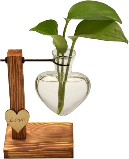 Magiin Florero de Vidrio Macetero con Soporte de Madera Jarrón de Vidrio Transparente para Jardinería Planta de Hidroponía Decoración de Escritorio ...