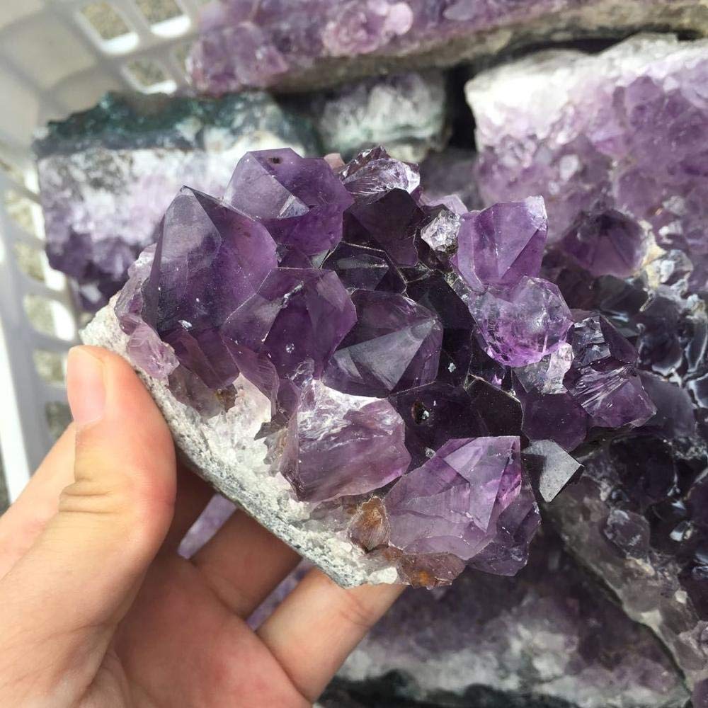Espécimen de Cristal de Amatista Natural, geoda de Amatista de Uruguay, espécimen de Gemas Inicio Colecciones