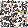 Calcomanías de gato negro, 50 unidades, divertidas calcomanías de meme de gato de dibujos animados, paquete de regalo para niños, adolescentes y adultos, calcomanías de dibujos animados lindas