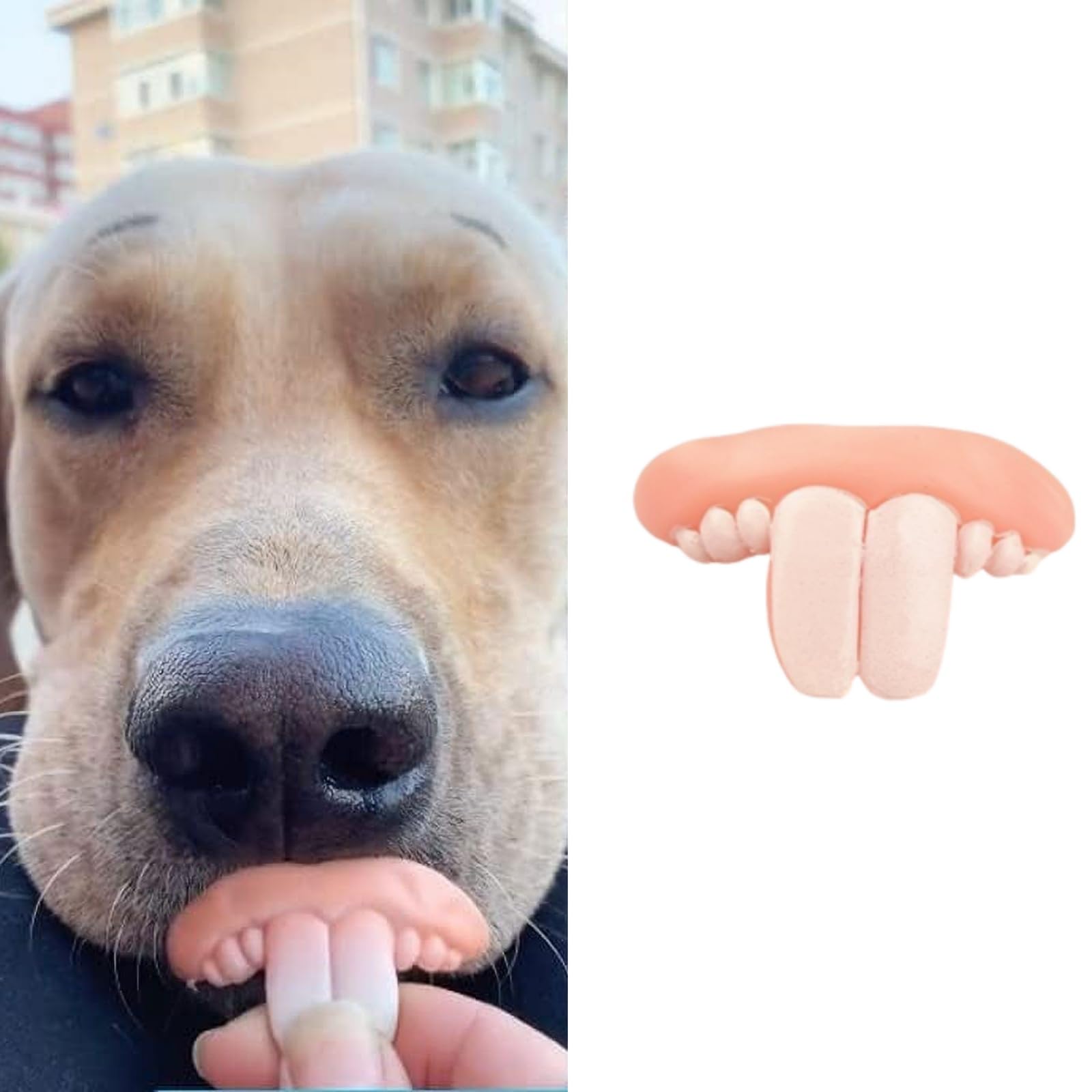 Funny White Fake Teeth for Dogs Dog Teeth Braces for Halloween Christmas Costume Suitable Chew Toy Pet Supplies