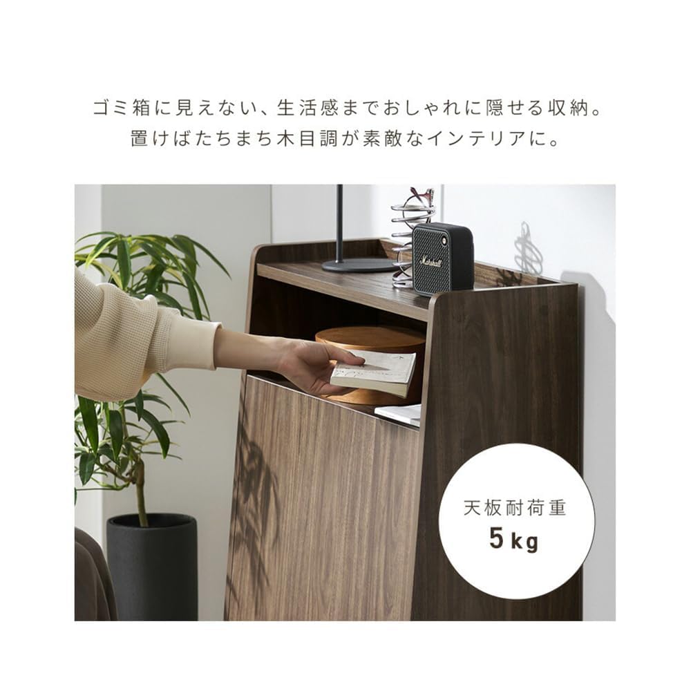Amazon｜ゴミ箱 30L (15L×2分別) ペールカウンター キッチン収納