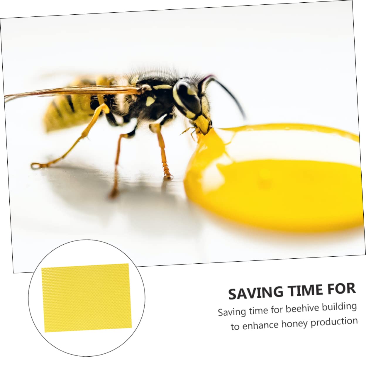 Fogli Fondazione Gialli 30 Pezzi in Cera d Api per Api | Fondazione Nest Beeswax, Forma Semplice, Accessori Favo, Costruzione Rapida del