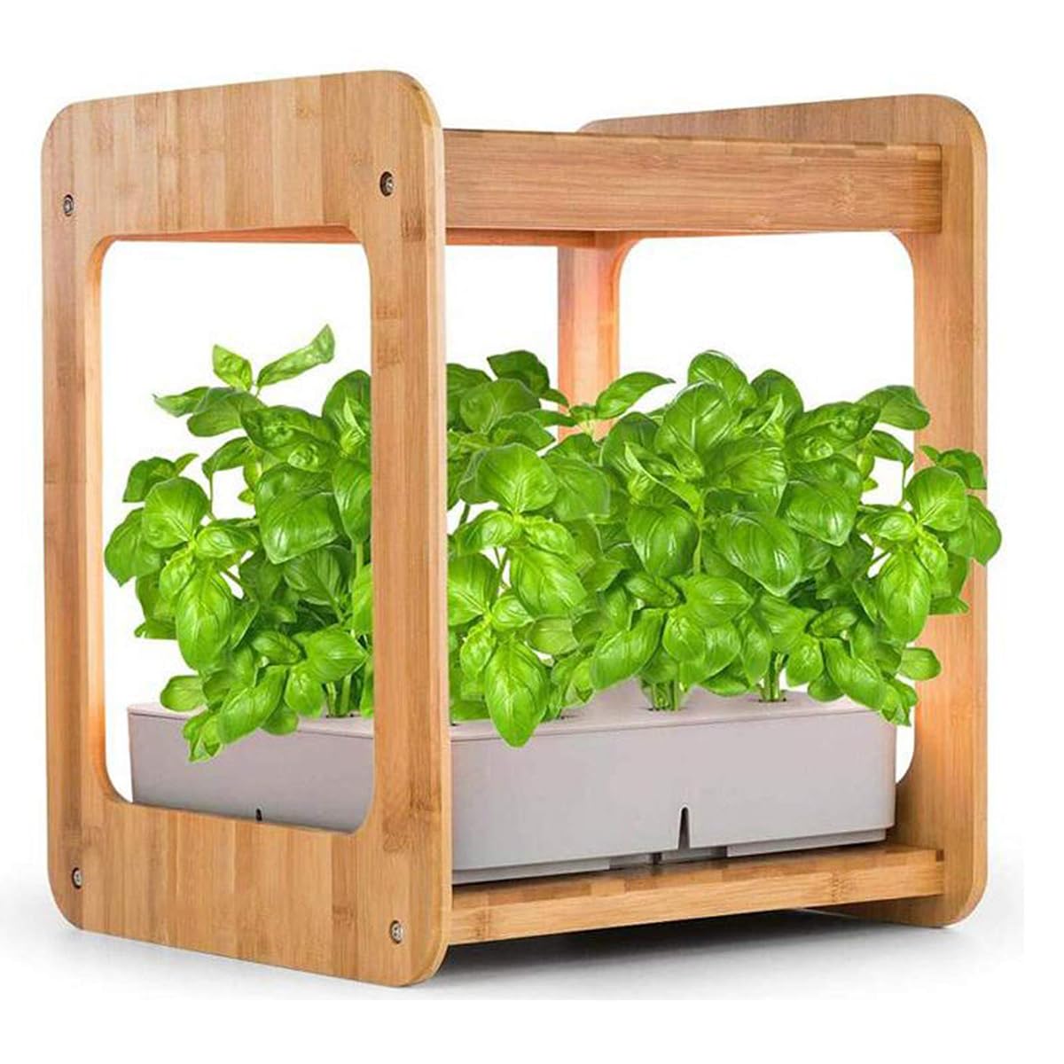 Jardin d'intérieur hydroponique automatique HmLtd avec 8 dosettes en bambou