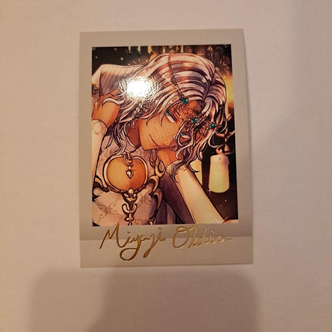 Amazon.co.jp: あくねこ ぱしゃこれ ルカス ミヤジ : おもちゃ