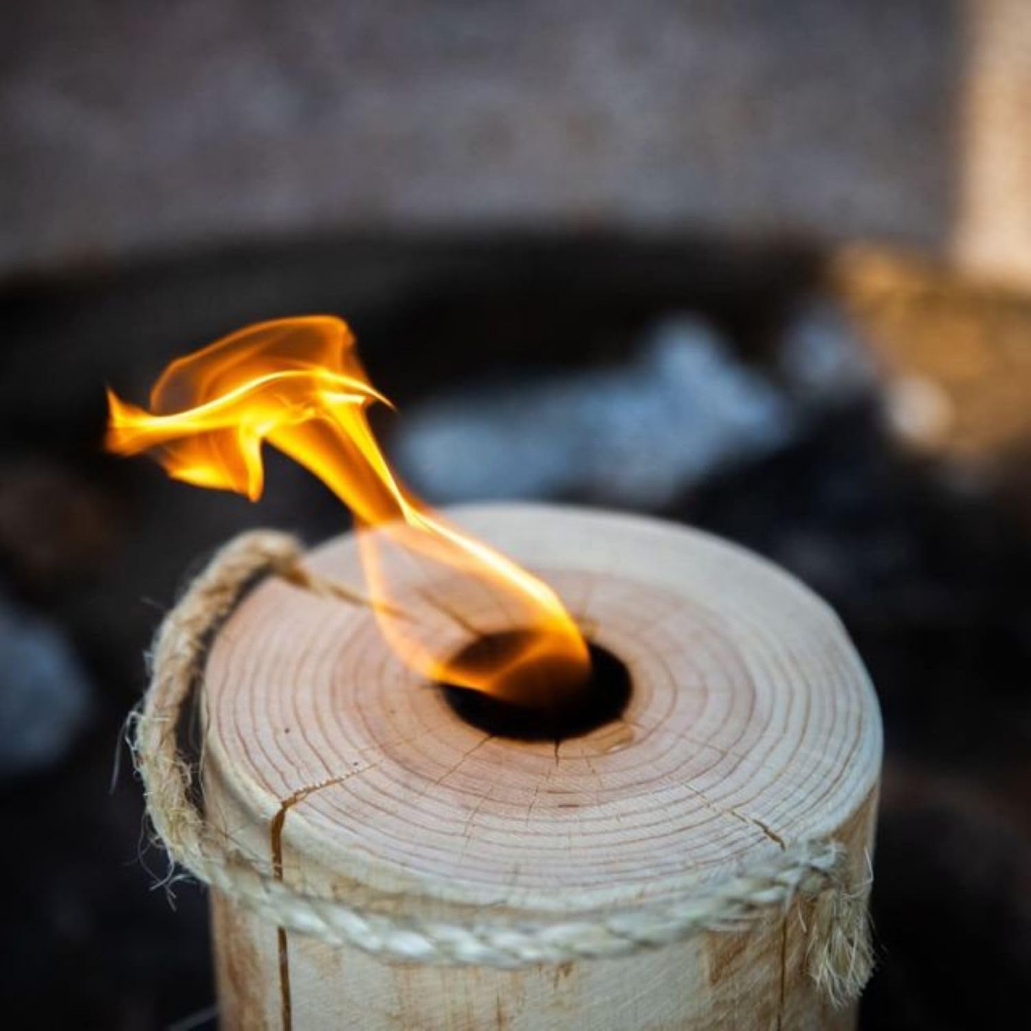Amazon.com: One Log Fire Swedish Fire Log - Mini - Kiln-Dried Red