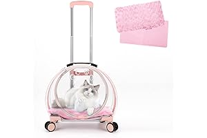 Clear Cat Stroller: Your Feline's Stylish Ride