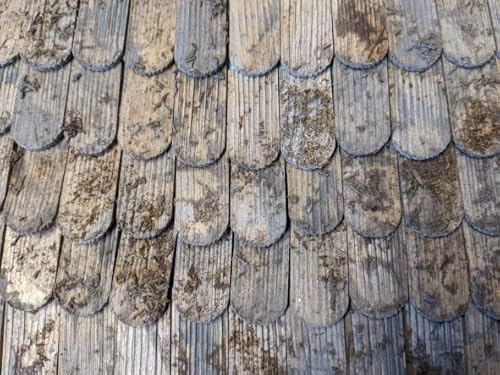 menta-modellbau Dachschindeln Tirol mit Rundung, 55 Stück Krippenbau Krippenzubehör Holzschindeln