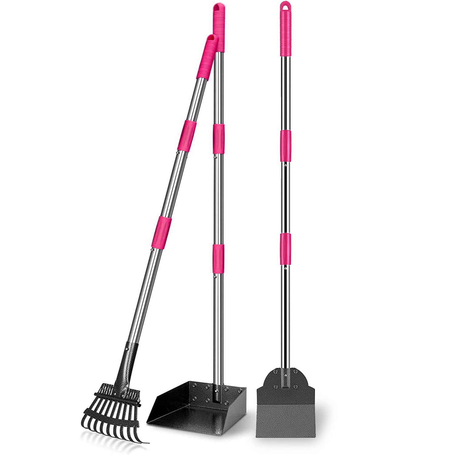 rake and pan pooper scooper