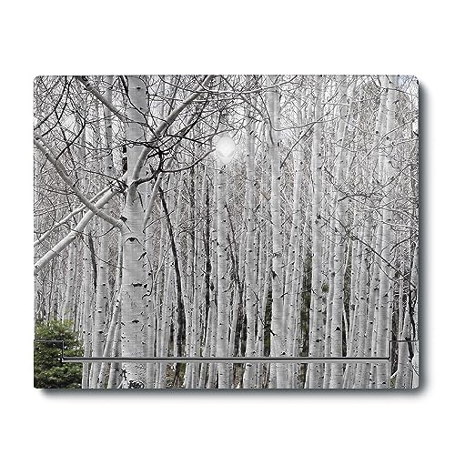 MightySkins Carbon Fiber Skin Compatible with Alienware X16 R1 (2023) Full Wrap Kit - Birch Forest | Protective, Durable Textured Carbon Fiber Finish | Easy to Apply & Change Styles | Made in The USA