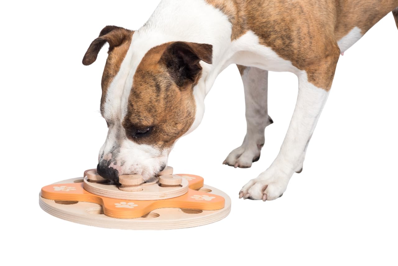 My Intelligent Dogs Dog's Flower - Interactive Wooden Puzzle Toy for Dogs, Brain Game for Mental Stimulation and Enrichment, All-Wood Design for Smart