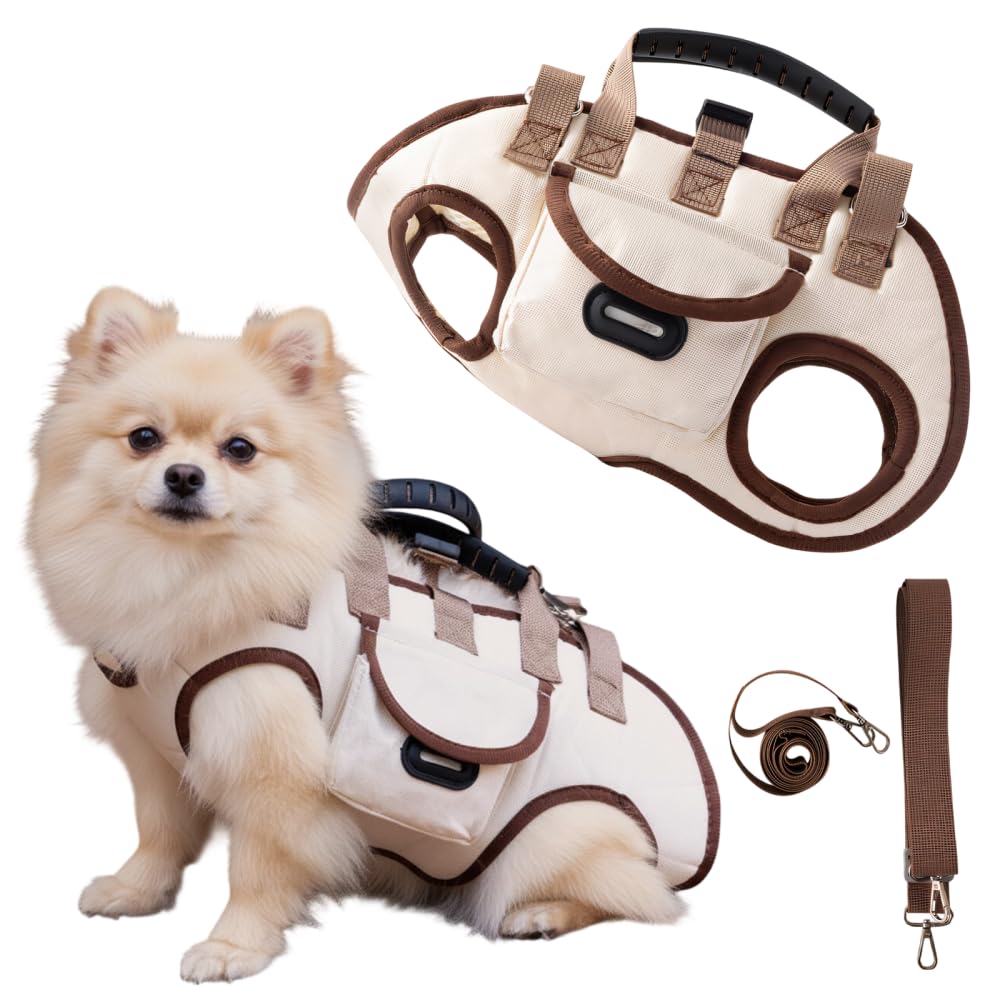 Sac à dos d'urgence pour chien avec harnais de levage réglable en mesh premium