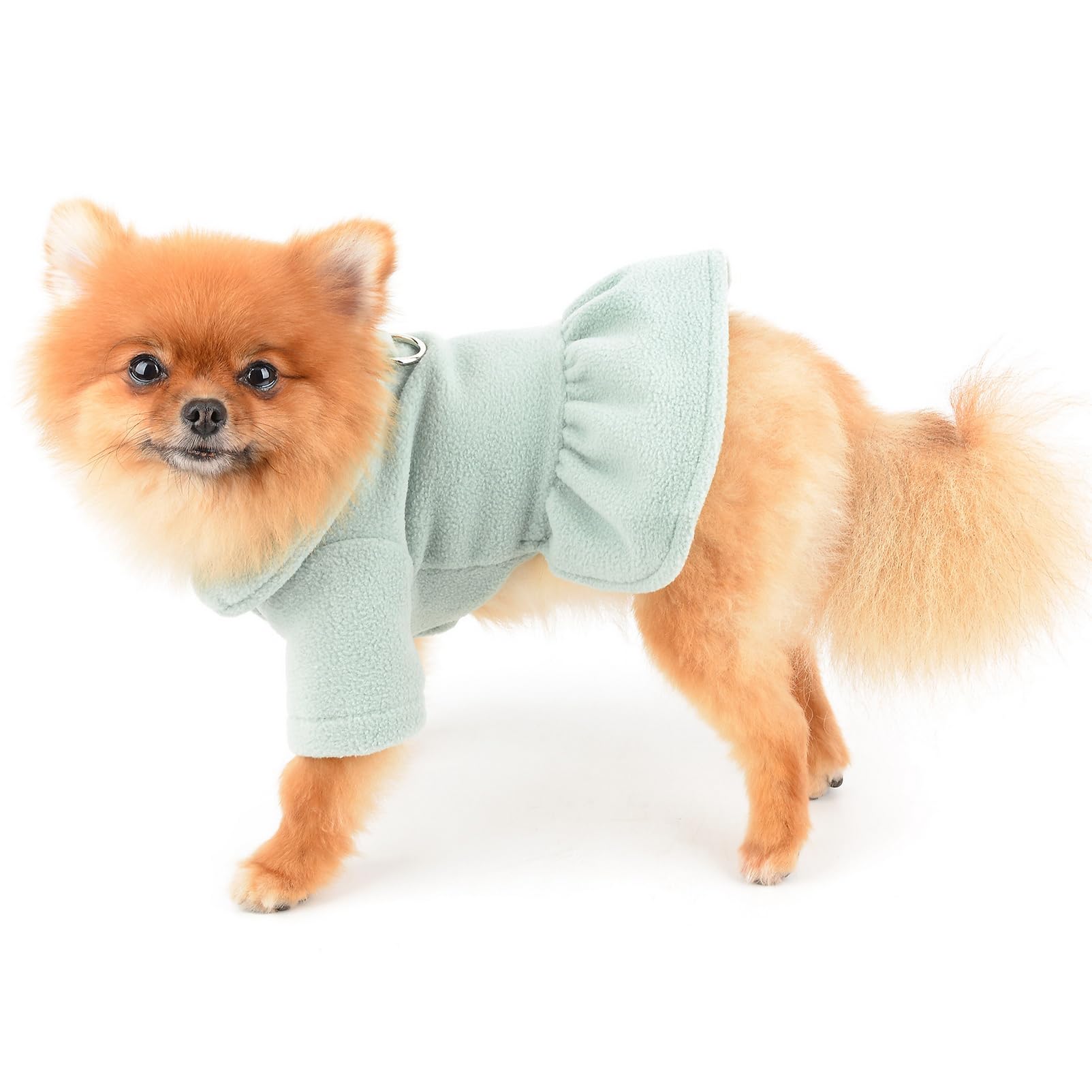 SMALLLEE_LUCKY_STORE Cute Pet Solid Color Fleece Dress Girls Puppy Winter Dress for Small Dog Cat with Leash Ring Fleece Lined Female Skirt Yorkie Chihuahua Warm Clothes,Green,M
