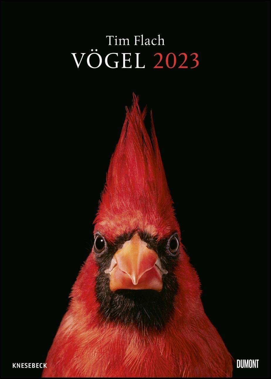 DuMont Kalenderverlag Tim Flach: Vögel 2023 – Posterkalender von Vogel-Porträts von Tim Flach – Poster-Format 50 x 70 cm
