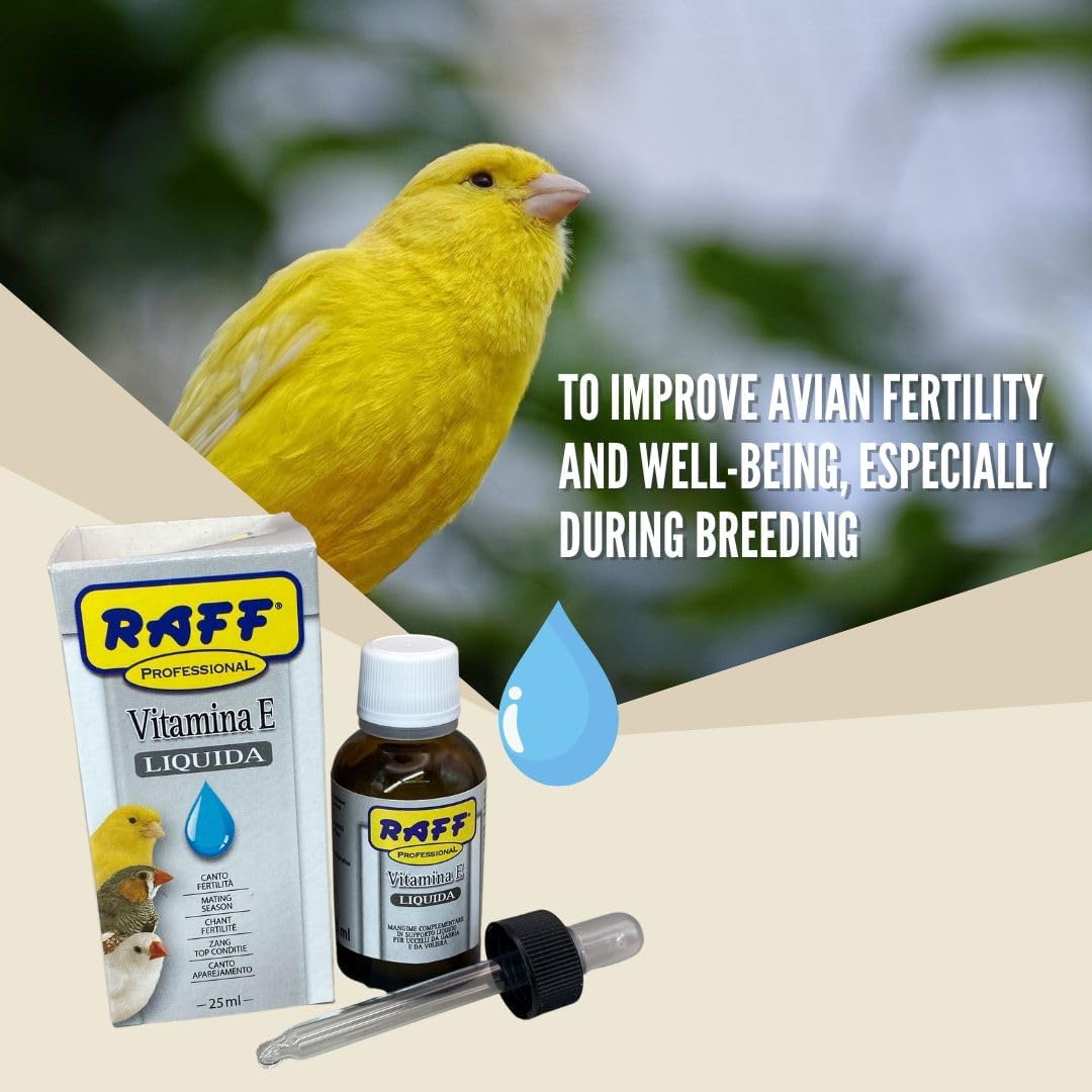 Raff Liquid Vitamin E Supplement for Bird 25ml - Sunflower Oils and Fats, Raw Soy Lecithin, Vitamin for Birds, Accessories for Pigeons, for Canary Food, Fertility for Birds, Finch, Breeding Bird