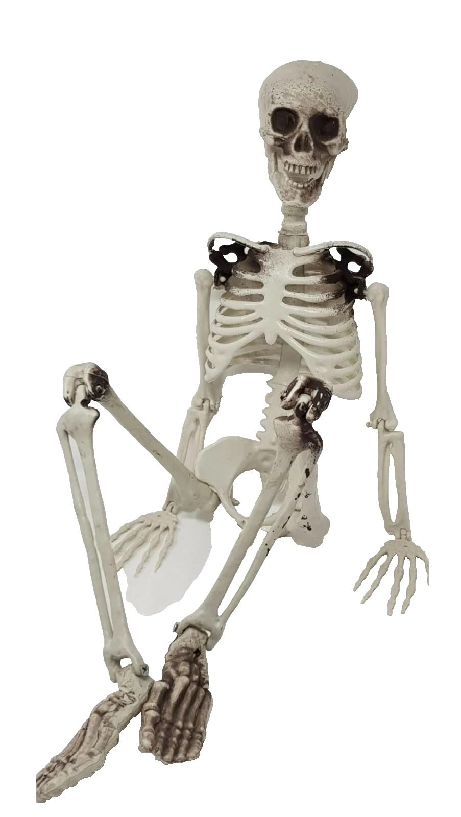 90cm Poseable Human Skeleton Halloween Decoration Skull Hanging Party Pose 3ft