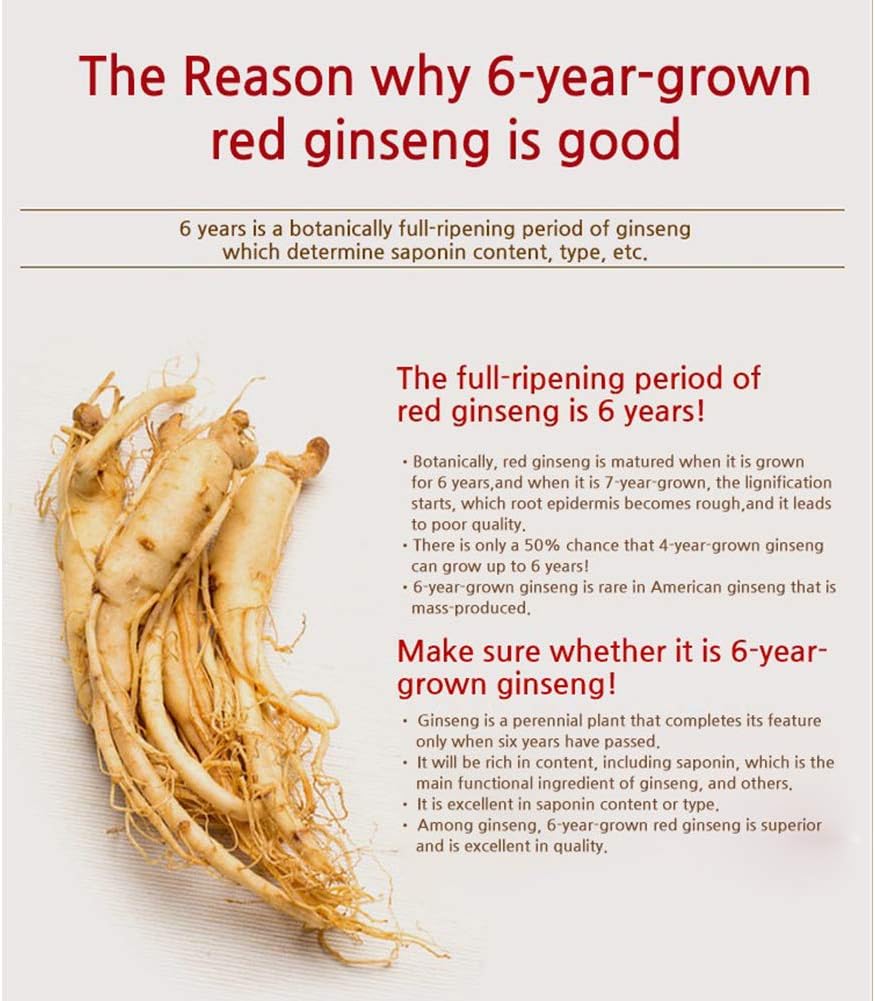 6-Year-Old Korean Red Ginseng Extract 365 Stick - Image 5