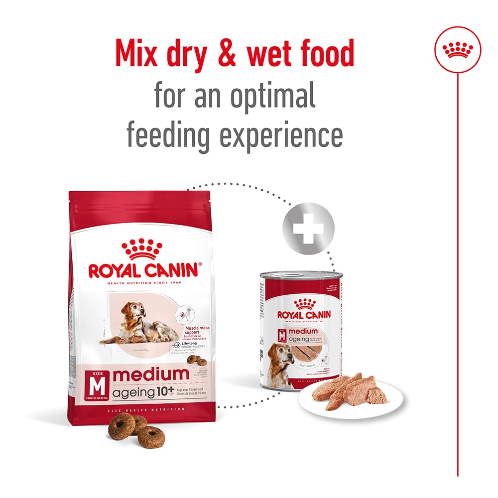 Royal Canin Size Medium Ageing 10+, 1er Pack (1 x 15 kg)