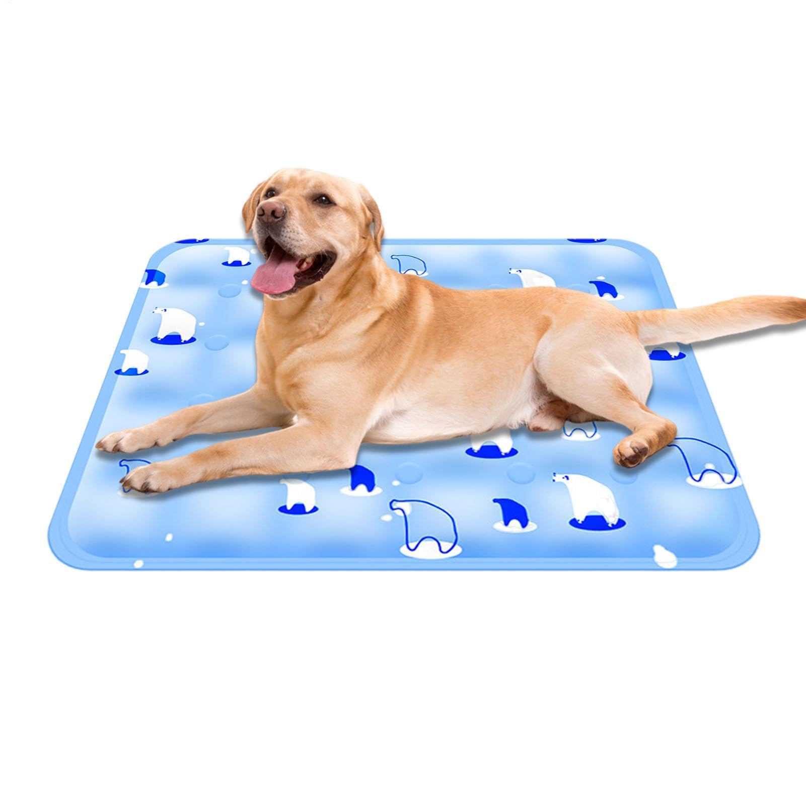 Tapis rafraîchissant pour chien contre les coups de chaleur