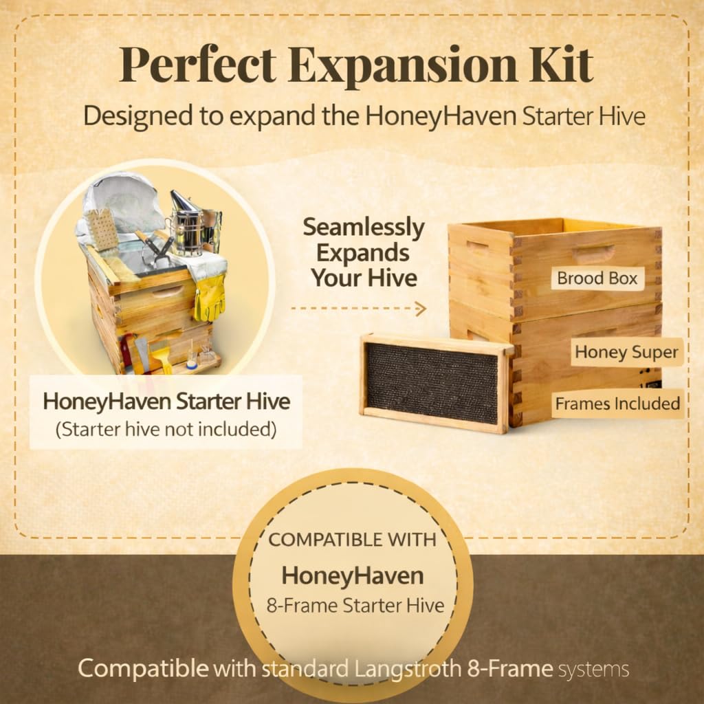 HoneyHaven Kit d'extension avec 8 cadres de ruche Langstroth avec cadres, fondations, 1 couvée