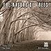 The Nature of Trees 2015 Wall Calendar